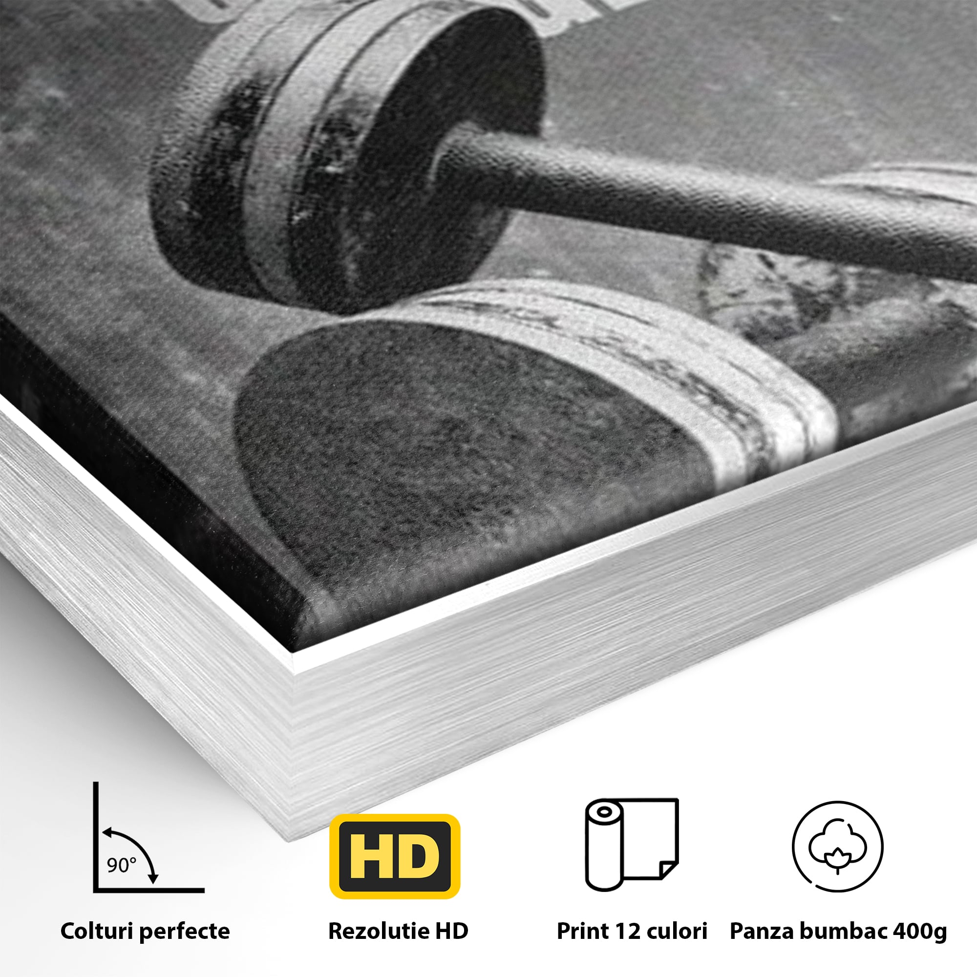 Detaliu al suprafetei: tablou motivational cu gantere si text, in rama de aluminiu argintiu